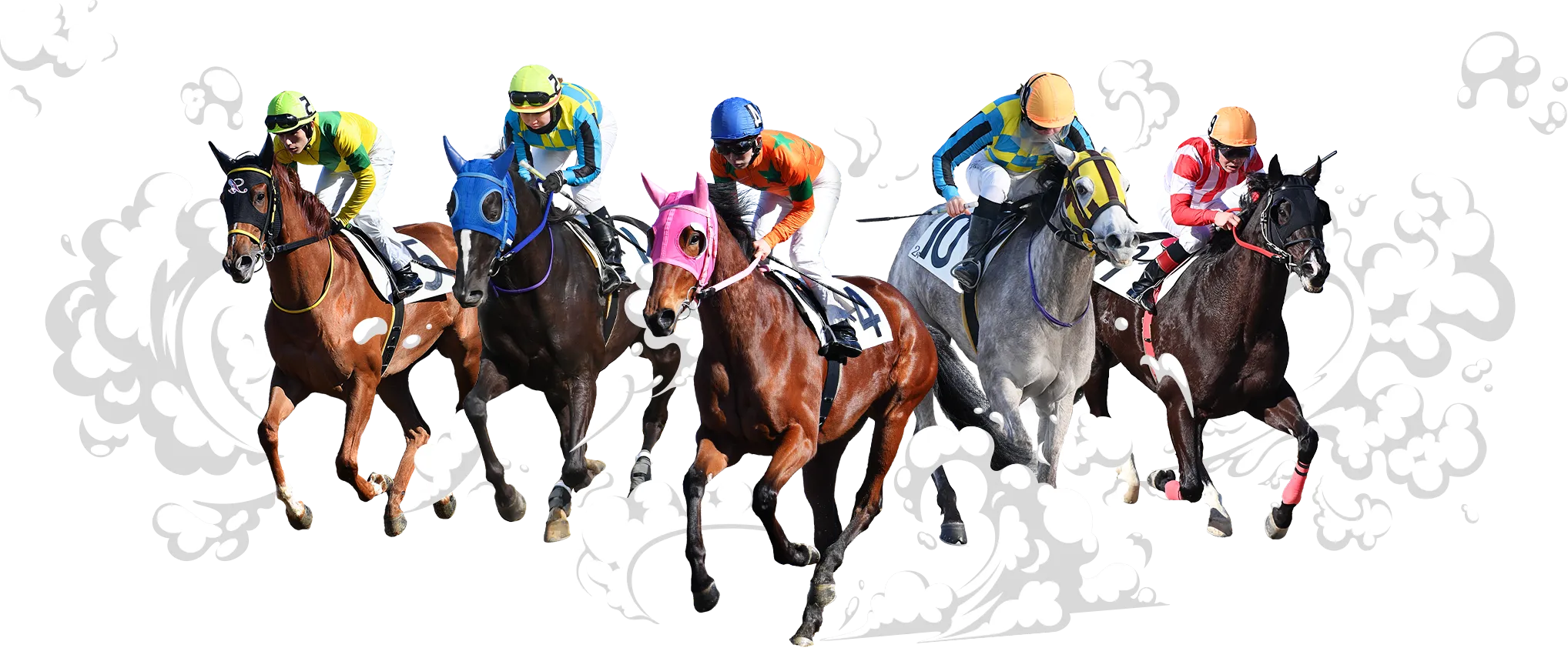 浦和競馬公式ファンクラブ 馬