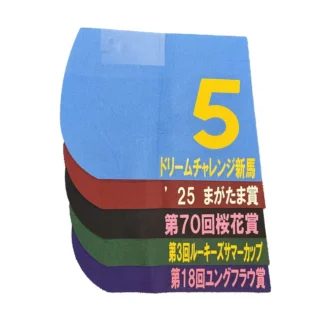 レース実使用ゼッケン